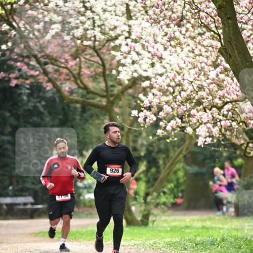 13.04.2025 - Hammer Lauf Dr. Thomas Lammeyer http://msf.ph/oto/7642937 13.04.2025 10:12:25 Laufen 1799, 926 meine-sportfotos.de