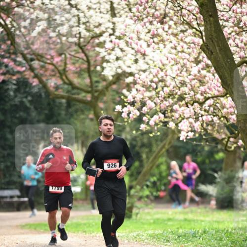 13.04.2025 - Hammer Lauf Dr. Thomas Lammeyer http://msf.ph/oto/7642948 13.04.2025 10:12:25 Laufen 1799, 926 meine-sportfotos.de