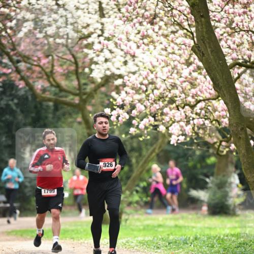 13.04.2025 - Hammer Lauf Dr. Thomas Lammeyer http://msf.ph/oto/7642951 13.04.2025 10:12:26 Laufen 1799, 926 meine-sportfotos.de