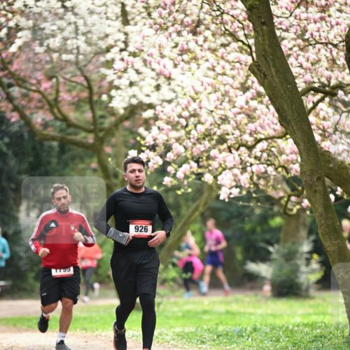 13.04.2025 - Hammer Lauf Dr. Thomas Lammeyer http://msf.ph/oto/7642953 13.04.2025 10:12:26 Laufen 1799, 926 meine-sportfotos.de