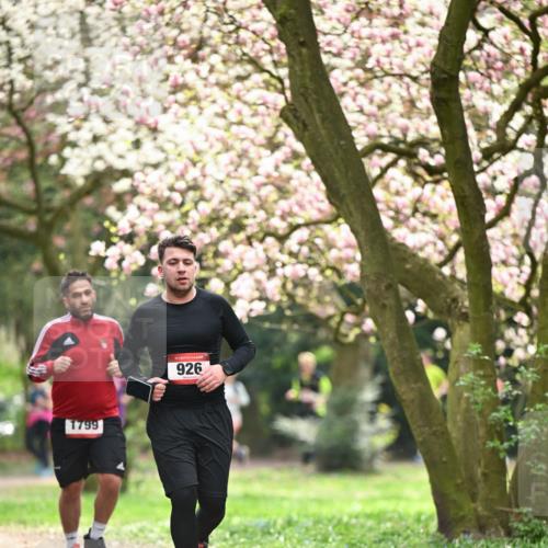 13.04.2025 - Hammer Lauf Dr. Thomas Lammeyer http://msf.ph/oto/7642979 13.04.2025 10:12:27 Laufen 1799, 926 meine-sportfotos.de