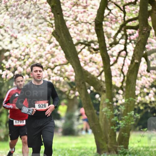 13.04.2025 - Hammer Lauf Dr. Thomas Lammeyer http://msf.ph/oto/7643004 13.04.2025 10:12:28 Laufen 1799, 926 meine-sportfotos.de