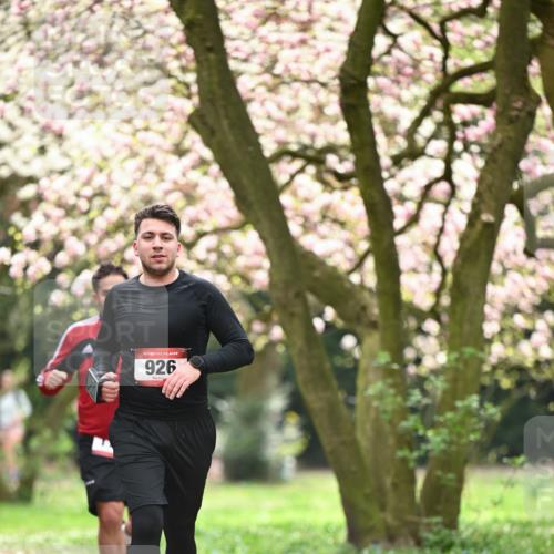 13.04.2025 - Hammer Lauf Dr. Thomas Lammeyer http://msf.ph/oto/7643016 13.04.2025 10:12:28 Laufen 15, 926 meine-sportfotos.de