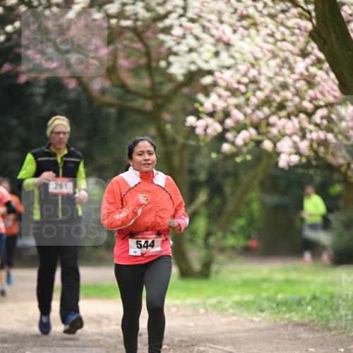 13.04.2025 - Hammer Lauf Dr. Thomas Lammeyer http://msf.ph/oto/7643182 13.04.2025 10:12:42 Laufen 261, 544 meine-sportfotos.de