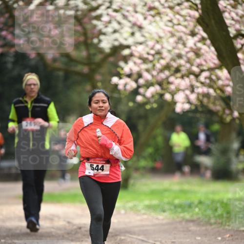 13.04.2025 - Hammer Lauf Dr. Thomas Lammeyer http://msf.ph/oto/7643194 13.04.2025 10:12:42 Laufen 201, 544 meine-sportfotos.de