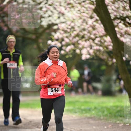 13.04.2025 - Hammer Lauf Dr. Thomas Lammeyer http://msf.ph/oto/7643197 13.04.2025 10:12:42 Laufen 201, 98, 15, 544 meine-sportfotos.de