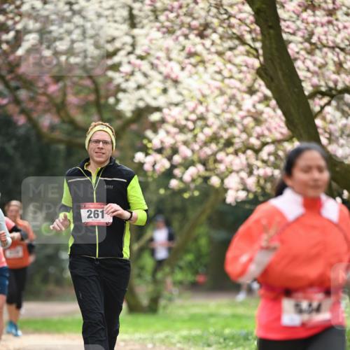 13.04.2025 - Hammer Lauf Dr. Thomas Lammeyer http://msf.ph/oto/7643212 13.04.2025 10:12:44 Laufen 115, 261 meine-sportfotos.de