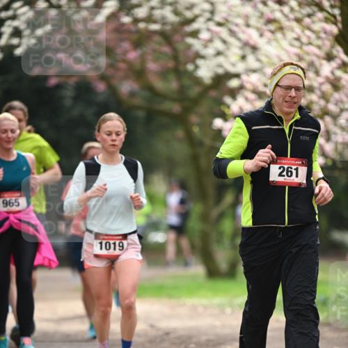 13.04.2025 - Hammer Lauf Dr. Thomas Lammeyer http://msf.ph/oto/7643234 13.04.2025 10:12:45 Laufen 965, 1019, 115, 1, 261 meine-sportfotos.de