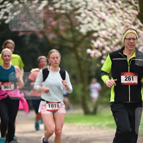 13.04.2025 - Hammer Lauf Dr. Thomas Lammeyer http://msf.ph/oto/7643242 13.04.2025 10:12:45 Laufen 965, 1019, 15, 261 meine-sportfotos.de