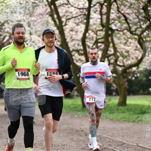 13.04.2025 - Hammer Lauf Dr. Thomas Lammeyer http://msf.ph/oto/7643534 13.04.2025 10:13:03 Laufen 15, 1968, 15, 1598, 772, 131 meine-sportfotos.de