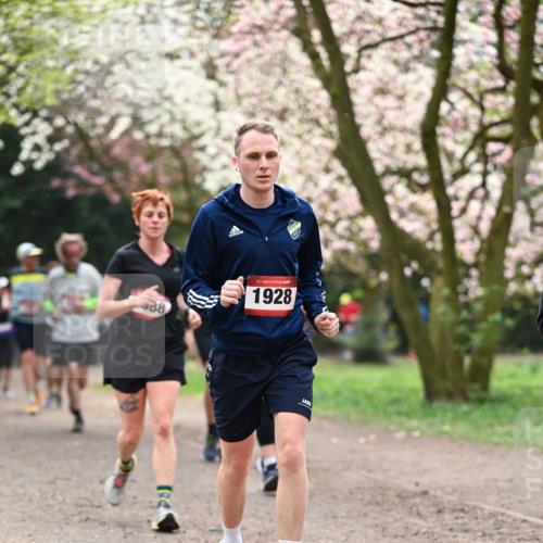 13.04.2025 - Hammer Lauf Dr. Thomas Lammeyer http://msf.ph/oto/7643674 13.04.2025 10:13:14 Laufen 88, 15, 1928 meine-sportfotos.de