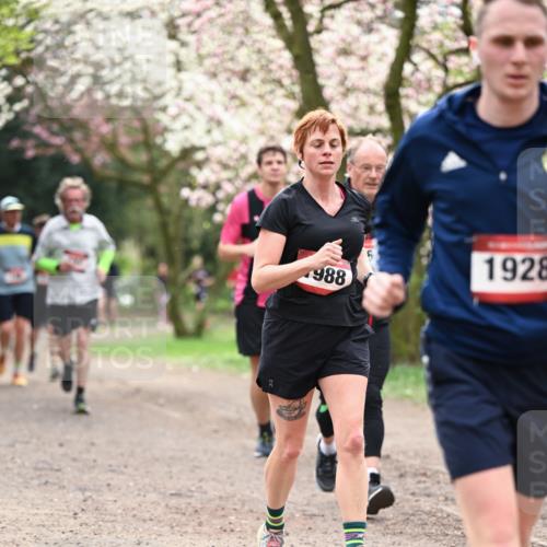 13.04.2025 - Hammer Lauf Dr. Thomas Lammeyer http://msf.ph/oto/7643696 13.04.2025 10:13:15 Laufen 1928, 988 meine-sportfotos.de