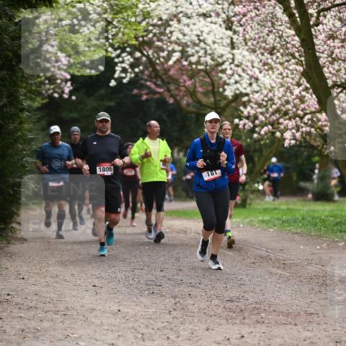 13.04.2025 - Hammer Lauf Dr. Thomas Lammeyer http://msf.ph/oto/7643817 13.04.2025 10:13:21 Laufen 1805, 181 meine-sportfotos.de