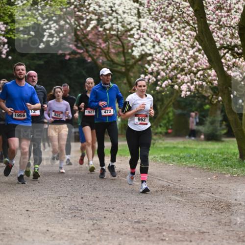13.04.2025 - Hammer Lauf Dr. Thomas Lammeyer http://msf.ph/oto/7644181 13.04.2025 10:13:38 Laufen 1956, 12, 1927, 472, 525, 962 meine-sportfotos.de