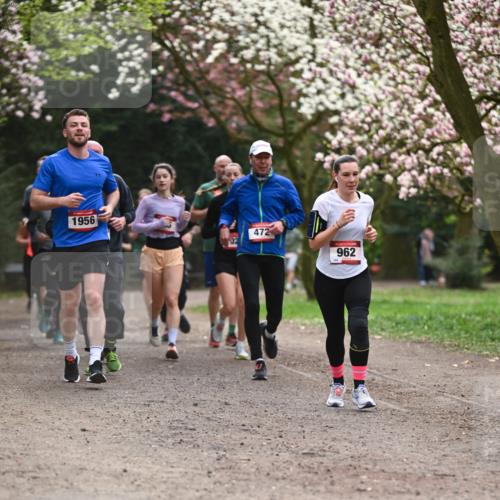 13.04.2025 - Hammer Lauf Dr. Thomas Lammeyer http://msf.ph/oto/7644195 13.04.2025 10:13:38 Laufen 1956, 472, 962 meine-sportfotos.de