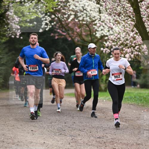 13.04.2025 - Hammer Lauf Dr. Thomas Lammeyer http://msf.ph/oto/7644204 13.04.2025 10:13:39 Laufen 1956, 525, 1927, 472, 962 meine-sportfotos.de