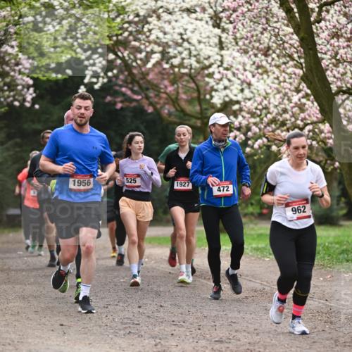 13.04.2025 - Hammer Lauf Dr. Thomas Lammeyer http://msf.ph/oto/7644212 13.04.2025 10:13:39 Laufen 1956, 525, 1927, 472, 962 meine-sportfotos.de