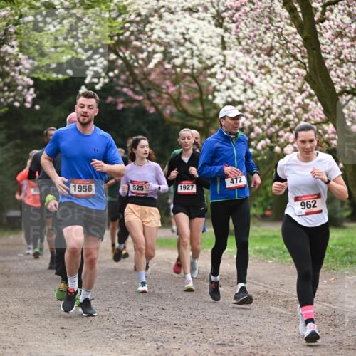 13.04.2025 - Hammer Lauf Dr. Thomas Lammeyer http://msf.ph/oto/7644216 13.04.2025 10:13:39 Laufen 472, 1956, 525, 1927, 962 meine-sportfotos.de