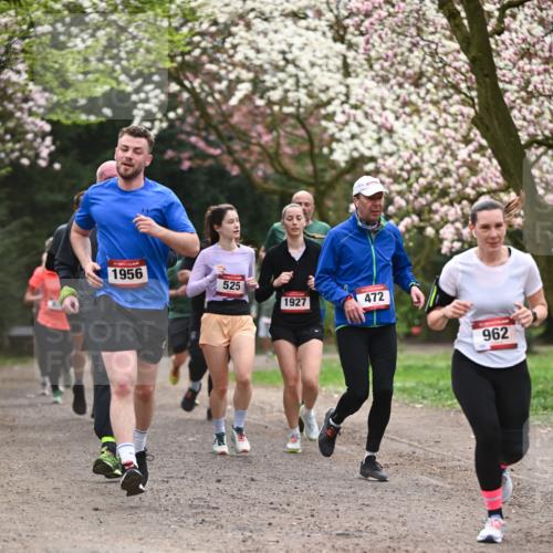 13.04.2025 - Hammer Lauf Dr. Thomas Lammeyer http://msf.ph/oto/7644220 13.04.2025 10:13:39 Laufen 1956, 525, 1927, 472, 962 meine-sportfotos.de