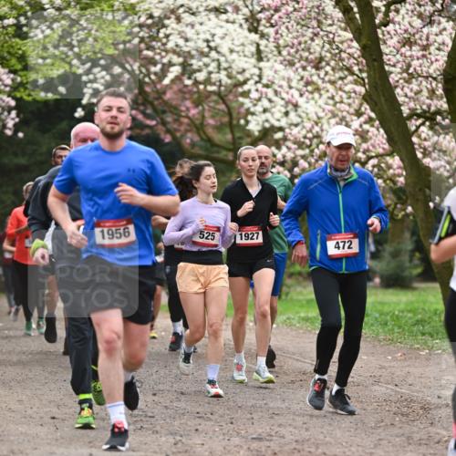 13.04.2025 - Hammer Lauf Dr. Thomas Lammeyer http://msf.ph/oto/7644232 13.04.2025 10:13:40 Laufen 1956, 525, 1927, 472 meine-sportfotos.de