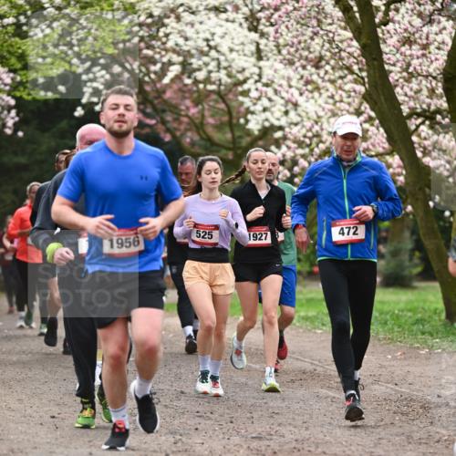 13.04.2025 - Hammer Lauf Dr. Thomas Lammeyer http://msf.ph/oto/7644235 13.04.2025 10:13:40 Laufen 1956, 525, 1927, 472 meine-sportfotos.de