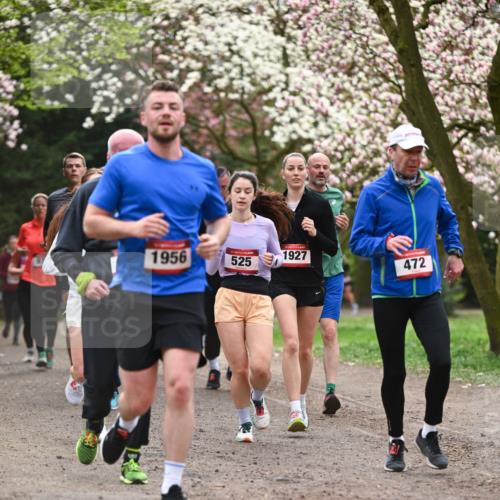 13.04.2025 - Hammer Lauf Dr. Thomas Lammeyer http://msf.ph/oto/7644242 13.04.2025 10:13:41 Laufen 1956, 1927, 525, 472 meine-sportfotos.de