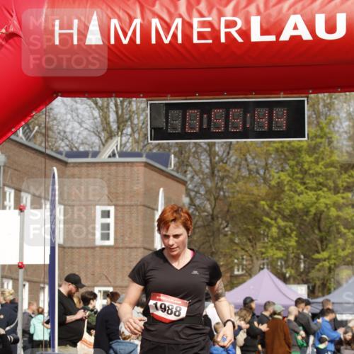 13.04.2025 - Hammer Lauf A. Gomolzig http://msf.ph/oto/7644247 13.04.2025 10:41:44 Ziel 906, 1988 meine-sportfotos.de