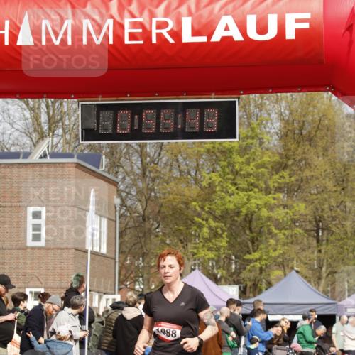 13.04.2025 - Hammer Lauf A. Gomolzig http://msf.ph/oto/7644251 13.04.2025 10:41:43 Ziel 906, 1988 meine-sportfotos.de
