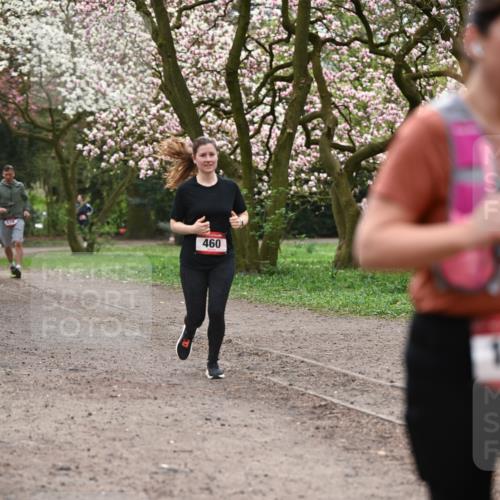 13.04.2025 - Hammer Lauf Dr. Thomas Lammeyer http://msf.ph/oto/7644424 13.04.2025 10:13:50 Laufen 460 meine-sportfotos.de