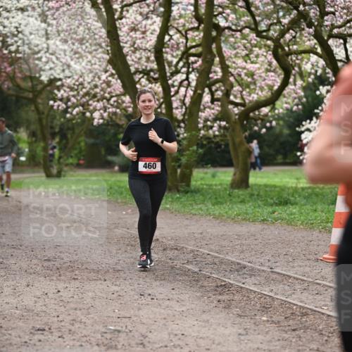 13.04.2025 - Hammer Lauf Dr. Thomas Lammeyer http://msf.ph/oto/7644427 13.04.2025 10:13:50 Laufen 460 meine-sportfotos.de