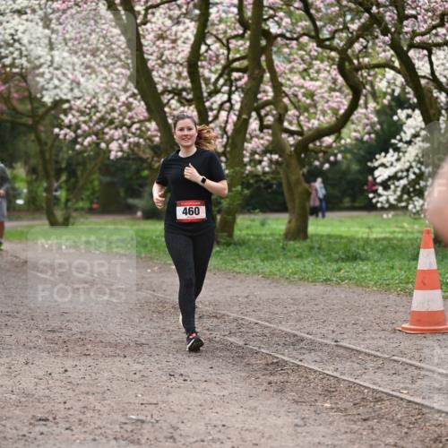 13.04.2025 - Hammer Lauf Dr. Thomas Lammeyer http://msf.ph/oto/7644430 13.04.2025 10:13:50 Laufen 460 meine-sportfotos.de