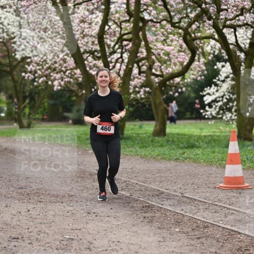 13.04.2025 - Hammer Lauf Dr. Thomas Lammeyer http://msf.ph/oto/7644434 13.04.2025 10:13:50 Laufen 460 meine-sportfotos.de
