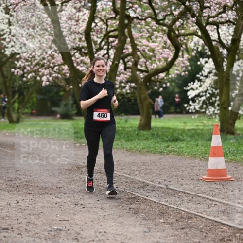 13.04.2025 - Hammer Lauf Dr. Thomas Lammeyer http://msf.ph/oto/7644438 13.04.2025 10:13:50 Laufen 460 meine-sportfotos.de