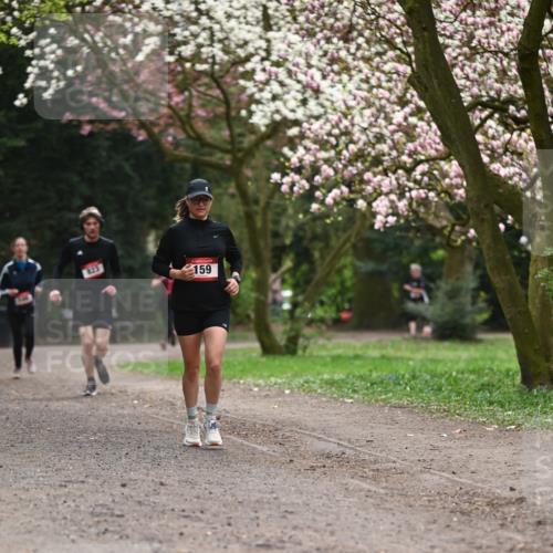 13.04.2025 - Hammer Lauf Dr. Thomas Lammeyer http://msf.ph/oto/7644570 13.04.2025 10:13:59 Laufen 823, 159 meine-sportfotos.de