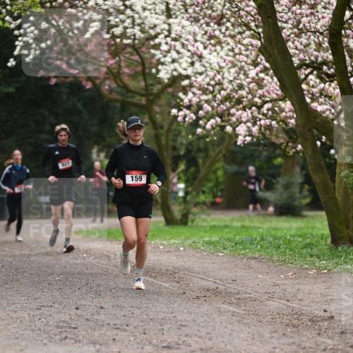 13.04.2025 - Hammer Lauf Dr. Thomas Lammeyer http://msf.ph/oto/7644576 13.04.2025 10:13:59 Laufen 123, 159 meine-sportfotos.de