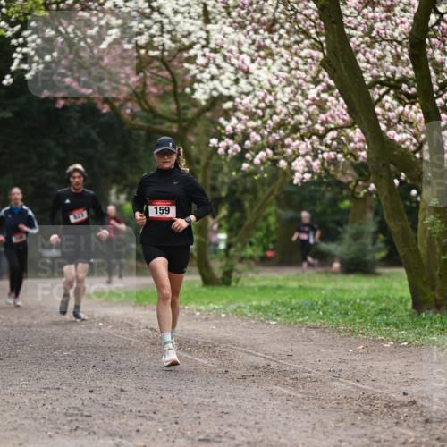 13.04.2025 - Hammer Lauf Dr. Thomas Lammeyer http://msf.ph/oto/7644580 13.04.2025 10:13:59 Laufen 823, 159 meine-sportfotos.de