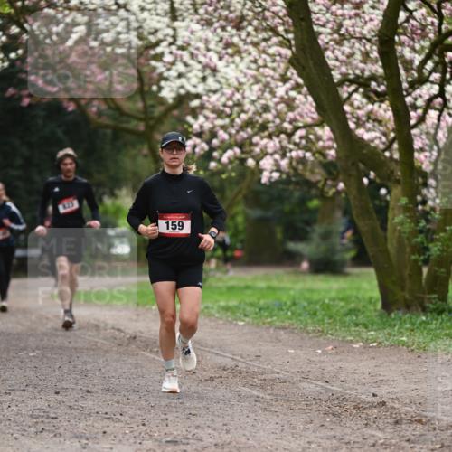 13.04.2025 - Hammer Lauf Dr. Thomas Lammeyer http://msf.ph/oto/7644606 13.04.2025 10:14:00 Laufen 8, 33, 15, 159 meine-sportfotos.de
