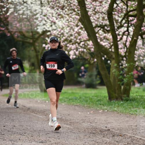 13.04.2025 - Hammer Lauf Dr. Thomas Lammeyer http://msf.ph/oto/7644618 13.04.2025 10:14:01 Laufen 15, 159 meine-sportfotos.de
