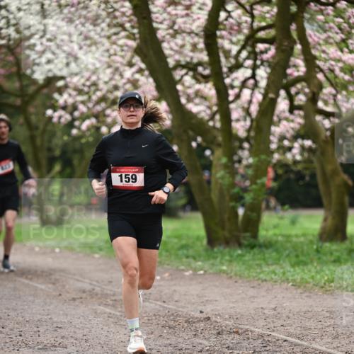 13.04.2025 - Hammer Lauf Dr. Thomas Lammeyer http://msf.ph/oto/7644639 13.04.2025 10:14:02 Laufen 15, 159 meine-sportfotos.de