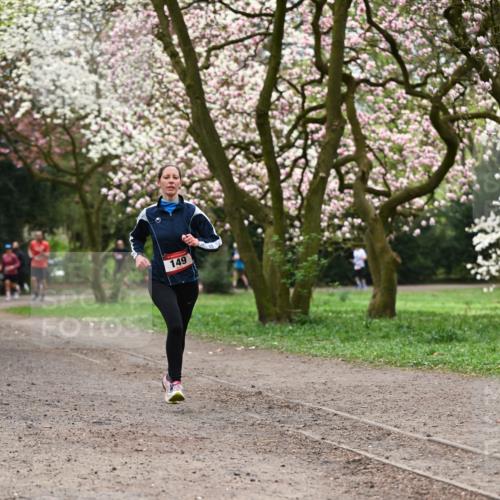 13.04.2025 - Hammer Lauf Dr. Thomas Lammeyer http://msf.ph/oto/7644742 13.04.2025 10:14:08 Laufen 149 meine-sportfotos.de