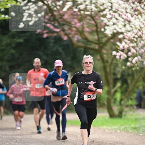 13.04.2025 - Hammer Lauf Dr. Thomas Lammeyer http://msf.ph/oto/7644785 13.04.2025 10:14:17 Laufen 1836, 15, 323 meine-sportfotos.de