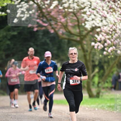 13.04.2025 - Hammer Lauf Dr. Thomas Lammeyer http://msf.ph/oto/7644789 13.04.2025 10:14:17 Laufen 1836, 15, 323 meine-sportfotos.de