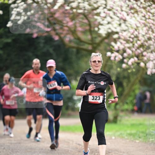 13.04.2025 - Hammer Lauf Dr. Thomas Lammeyer http://msf.ph/oto/7644795 13.04.2025 10:14:17 Laufen 1836, 15, 323, 32 meine-sportfotos.de