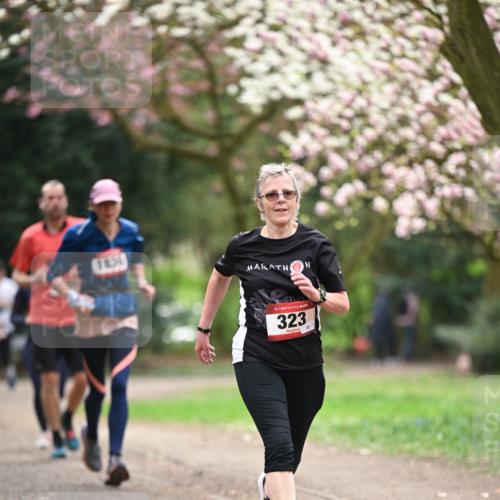 13.04.2025 - Hammer Lauf Dr. Thomas Lammeyer http://msf.ph/oto/7644805 13.04.2025 10:14:17 Laufen 1831, 15, 323 meine-sportfotos.de
