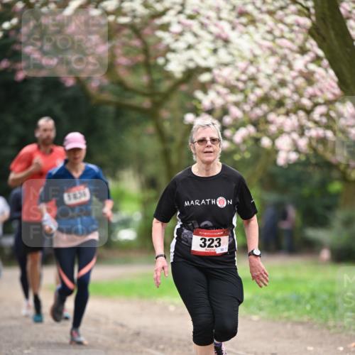 13.04.2025 - Hammer Lauf Dr. Thomas Lammeyer http://msf.ph/oto/7644809 13.04.2025 10:14:17 Laufen 1836, 15, 323, 32 meine-sportfotos.de