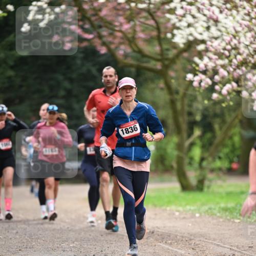 13.04.2025 - Hammer Lauf Dr. Thomas Lammeyer http://msf.ph/oto/7644821 13.04.2025 10:14:19 Laufen 1836 meine-sportfotos.de