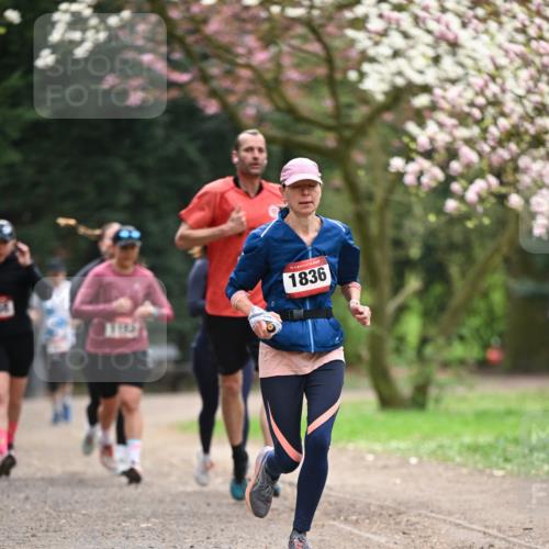 13.04.2025 - Hammer Lauf Dr. Thomas Lammeyer http://msf.ph/oto/7644830 13.04.2025 10:14:19 Laufen 1145, 15, 1836 meine-sportfotos.de
