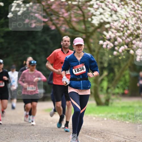 13.04.2025 - Hammer Lauf Dr. Thomas Lammeyer http://msf.ph/oto/7644833 13.04.2025 10:14:19 Laufen 15, 1836 meine-sportfotos.de