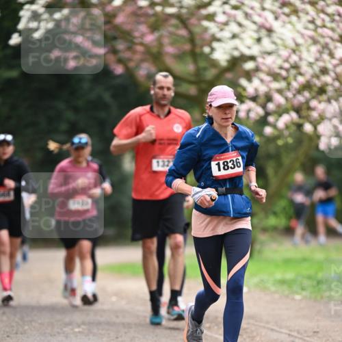 13.04.2025 - Hammer Lauf Dr. Thomas Lammeyer http://msf.ph/oto/7644845 13.04.2025 10:14:20 Laufen 132, 15, 1836 meine-sportfotos.de