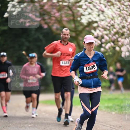 13.04.2025 - Hammer Lauf Dr. Thomas Lammeyer http://msf.ph/oto/7644848 13.04.2025 10:14:20 Laufen 725, 1323, 15, 1836 meine-sportfotos.de